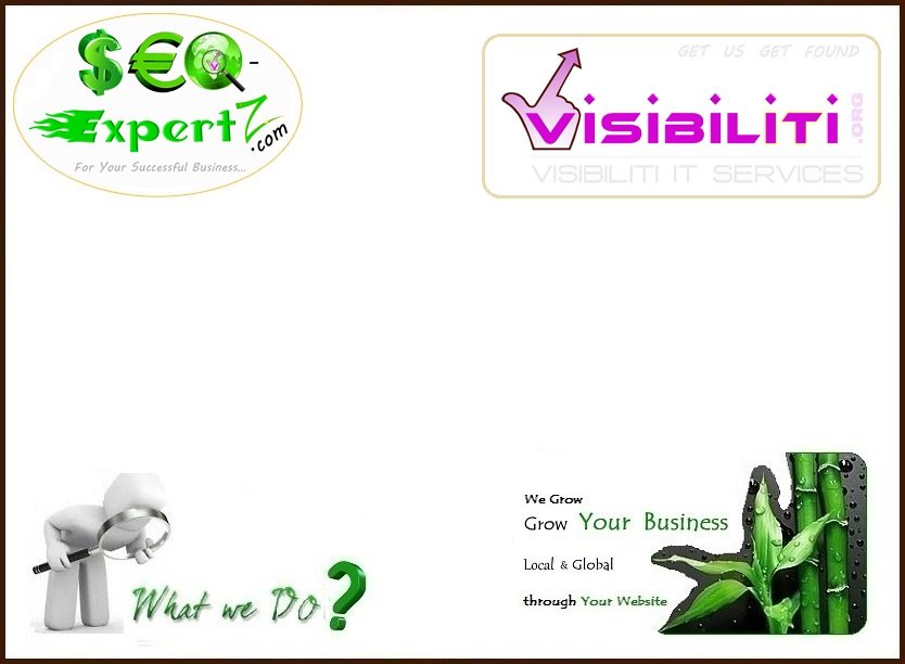 Hire SEO Specialist SEO Freelancer